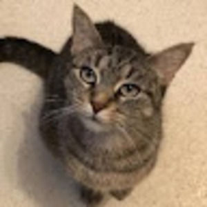 Meet your Posher, Rileyroo